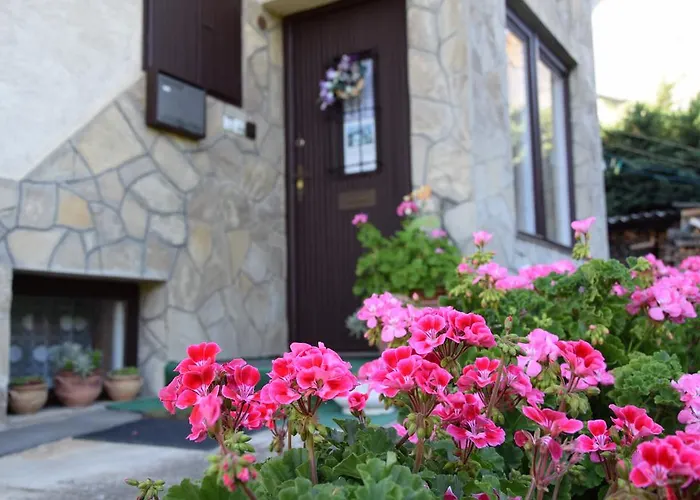 Pesti Vendeghaz * Zalalövő