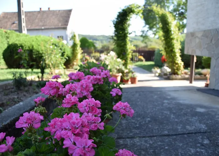 Pesti Vendeghaz Pensiune